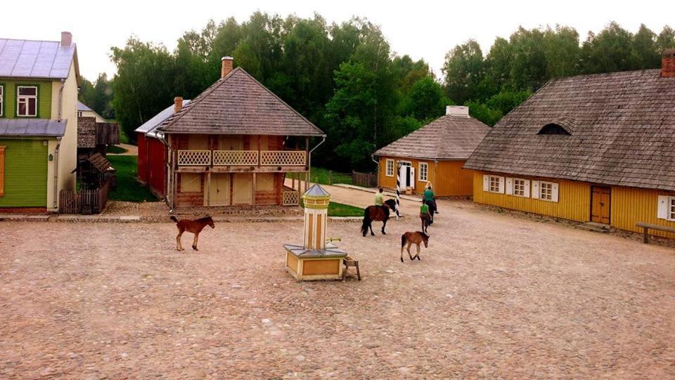 Rumsiskes Stay At Lithuanian Folk Museum מראה חיצוני תמונה